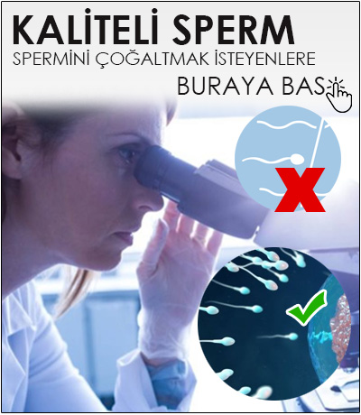 Kaliteli sperm